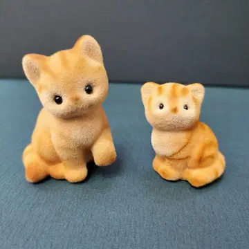 CENTEX 고양이 모자