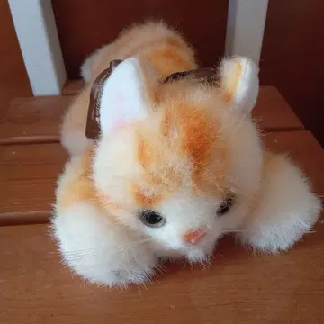 동심 새끼 고양이 봉제 인형