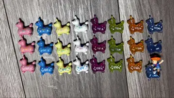 칼피스 워터 RODY 전 24종