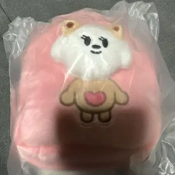 범규 멀티 파우치 뿔바투 TXT