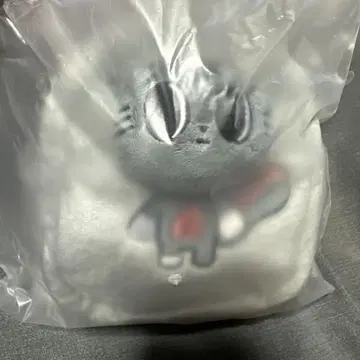 멀티 파우치 다고냥 태현 뿔바투 TXT