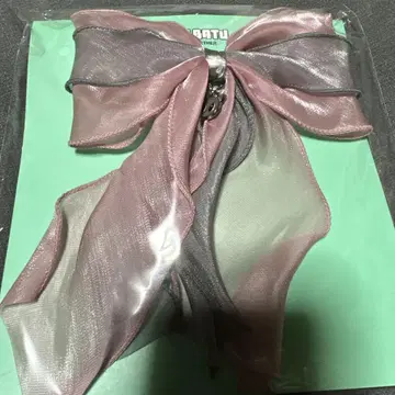 뿔바투 다고냥 리본 헤어 타이 태현 TXT