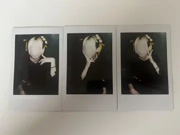 우스이 마사무네 폴라로이드 신부