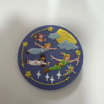 Disney 자수 캔배치 피터팬