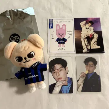 straykids KARMA SKZOO 퍼핌 승민
