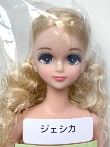 즐거운 인형 제시카 리카짱 캐슬