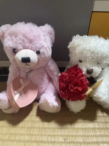 봉제 인형 세트 (핑크와 화이트)