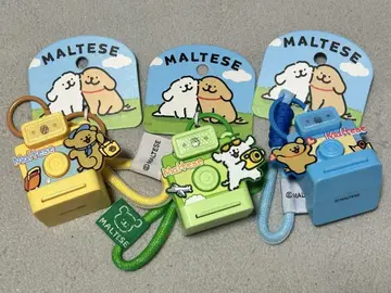 몰치즈 MALTESE 카메라형 키링 3개