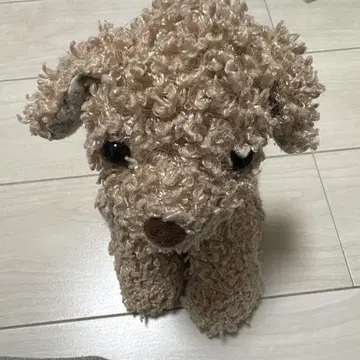 애프터눈 티 강아지 봉제 인형 토이 푸들