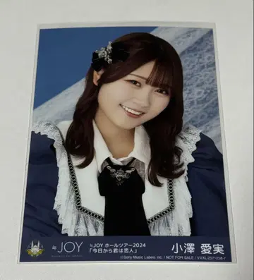 오자와 마나미 봉입