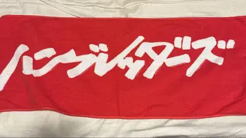 함브레더즈 타월