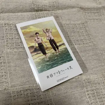 황혼 아웃포커스 혜택