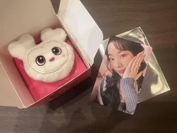 twice 봉제 인형 반지 특전 트레이딩 카드 다현