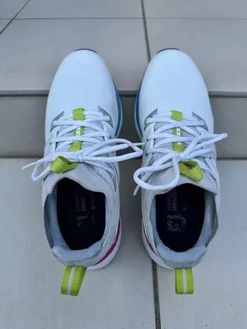 풋조이 골프화 남성용 25cm