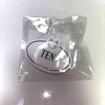 wayv 네임 배지 텐