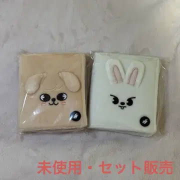 skzoo 사진 카드 케이스 세트