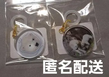 북극곰 라이 엄브렐라 참