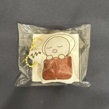 RIIZE 라이즈시 팝업 쿠션 키링 은석