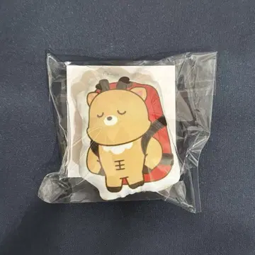 RIIZE 라이즈시 팝업 쿠션 키링 성찬