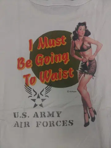 버즈릭슨 U.S. ARMY AIR FORCE 셔츠 M