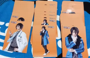 사이스테 사쿠라바 카오루 시부키 료 브로마이드