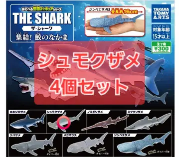The shark 집결! 상어 동료 귀상어 4세트