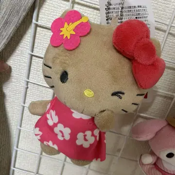 일광화상 키티