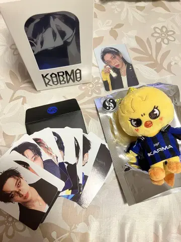 stray kids KARMA skzoo 포가리