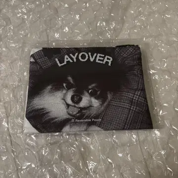 BTS V LAYOVER 파우치