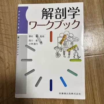 해부학 워크북