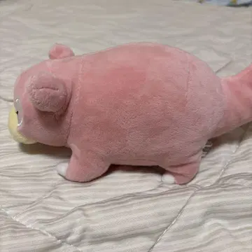 포켓몬 야돈 봉제 인형