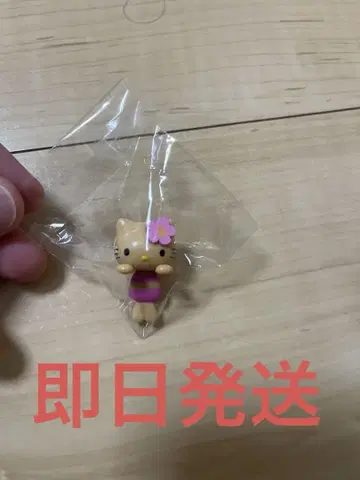 표코노루 일광화상 키티 가챠가챠