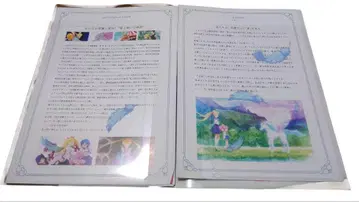 극장판 세일러문 Eternal 클리어 파일 포함 프레스 시트 시사회