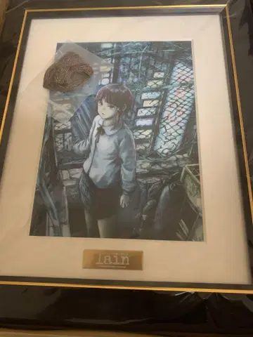 serial experiments lain: 캐릭터 파인 그래프