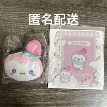 JOCHUM 뽀뽀 시크릿 브로치 시크릿 경질 카드 케이스 & 카드