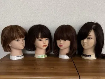 컷 가발 연습용 4체