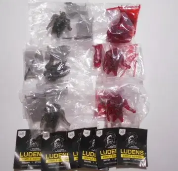 LUDENS SIMPLE EDITION 루덴스 캡슐 6세트
