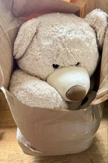 코스트코 곰 봉제 인형 테디베어 특대형 53인치