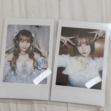 센리츠 카나노 폴라로이드 란체키 생탄제