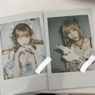 센리츠 카나노 폴라로이드 란체키 생탄제