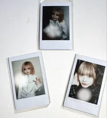 모그라이언 폴라로이드 사진 3장 세트