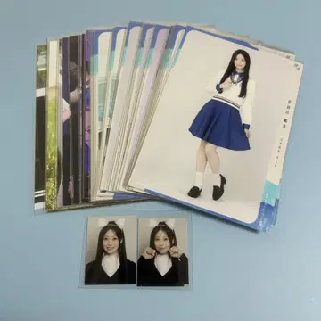 하세가와 키미 묶음 판매