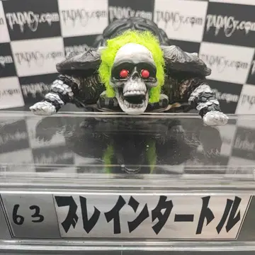 63 브레인 터틀