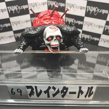69 브레인 터틀