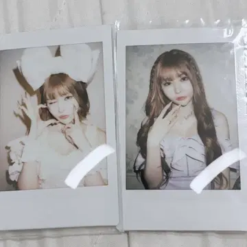 센리츠 카나노 폴라로이드 란체키