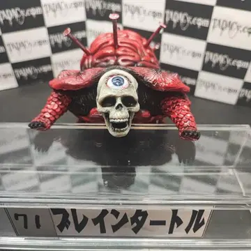 71 브레인 터틀