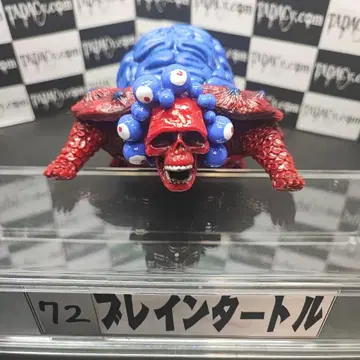 72 브레인 터틀