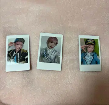 팬더 드래곤 파라곤 하피카 타이거 무도관 세트