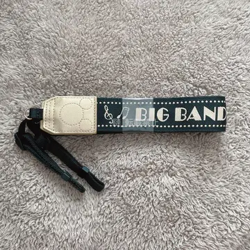 디즈니 빅 밴드 비트 BBB 카메라 스트랩 카메스트 팬다풀