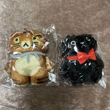 카카오캣